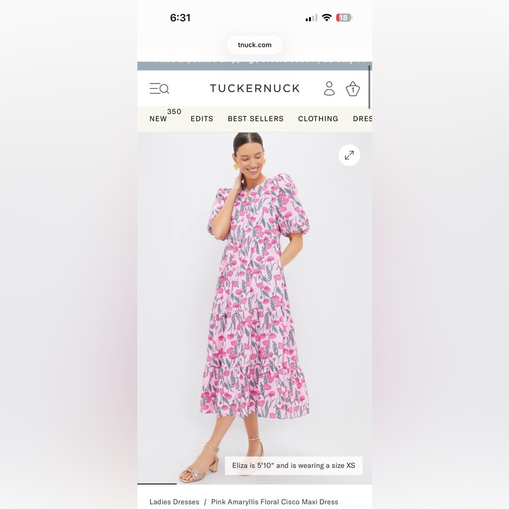 Tuckernuck Pink Floral Tiered Maxi Dress